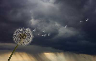 The Quiet Before the Storm: How Nature Reacts