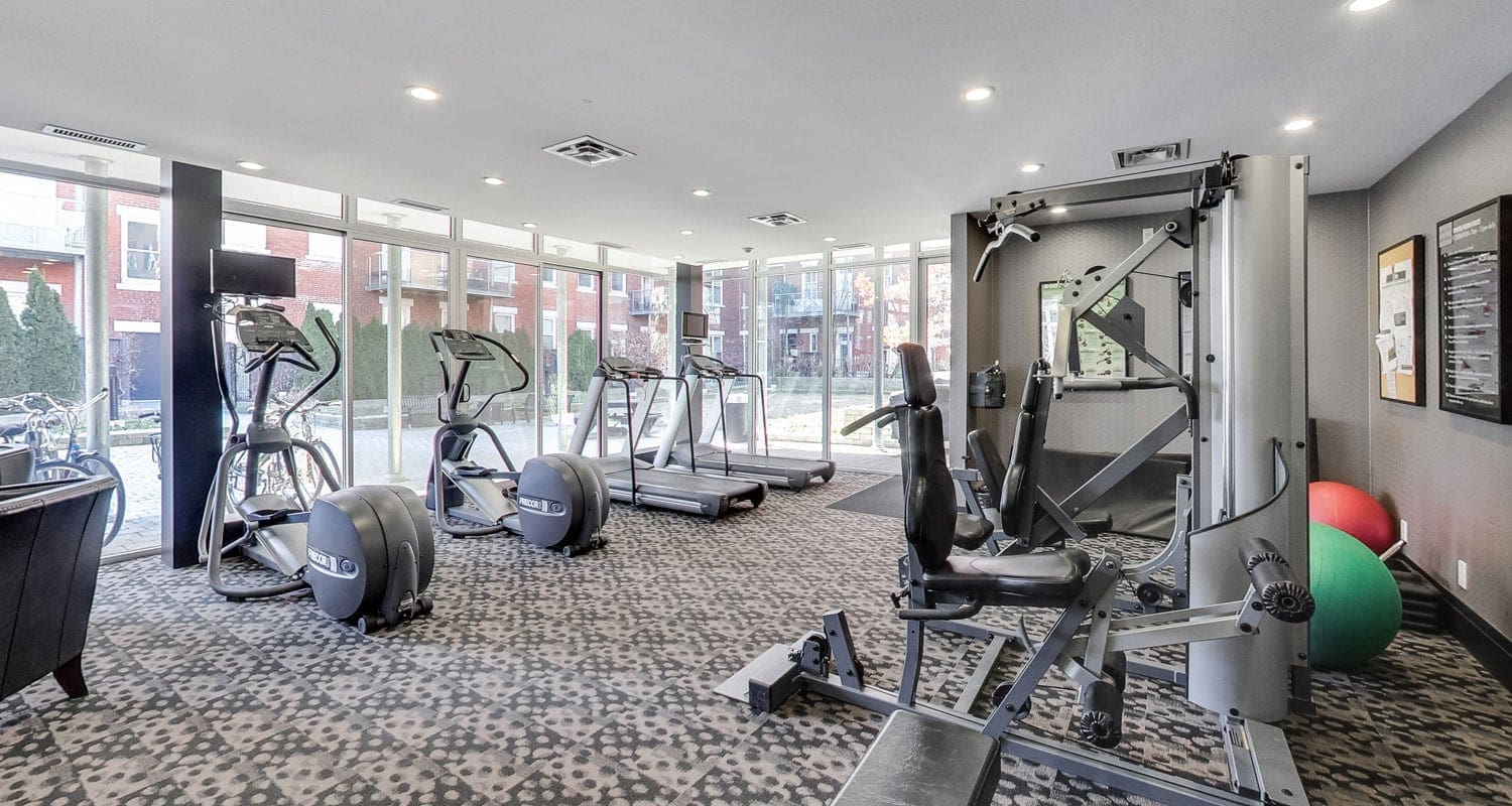 The Loretto 385 Brunswick Avenue Ryan Roberts