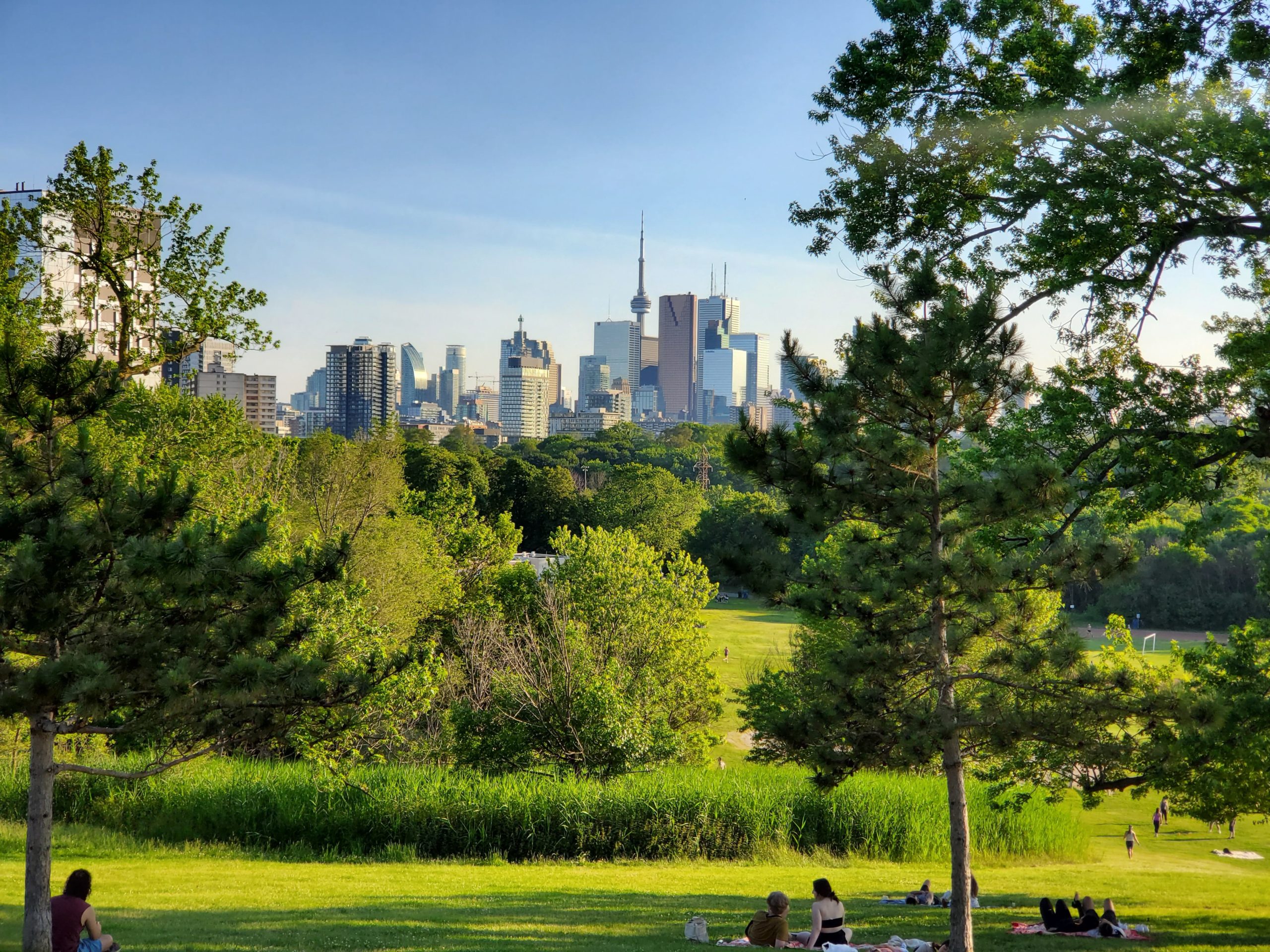 View of Downtown Toronto From Riverdale Park
