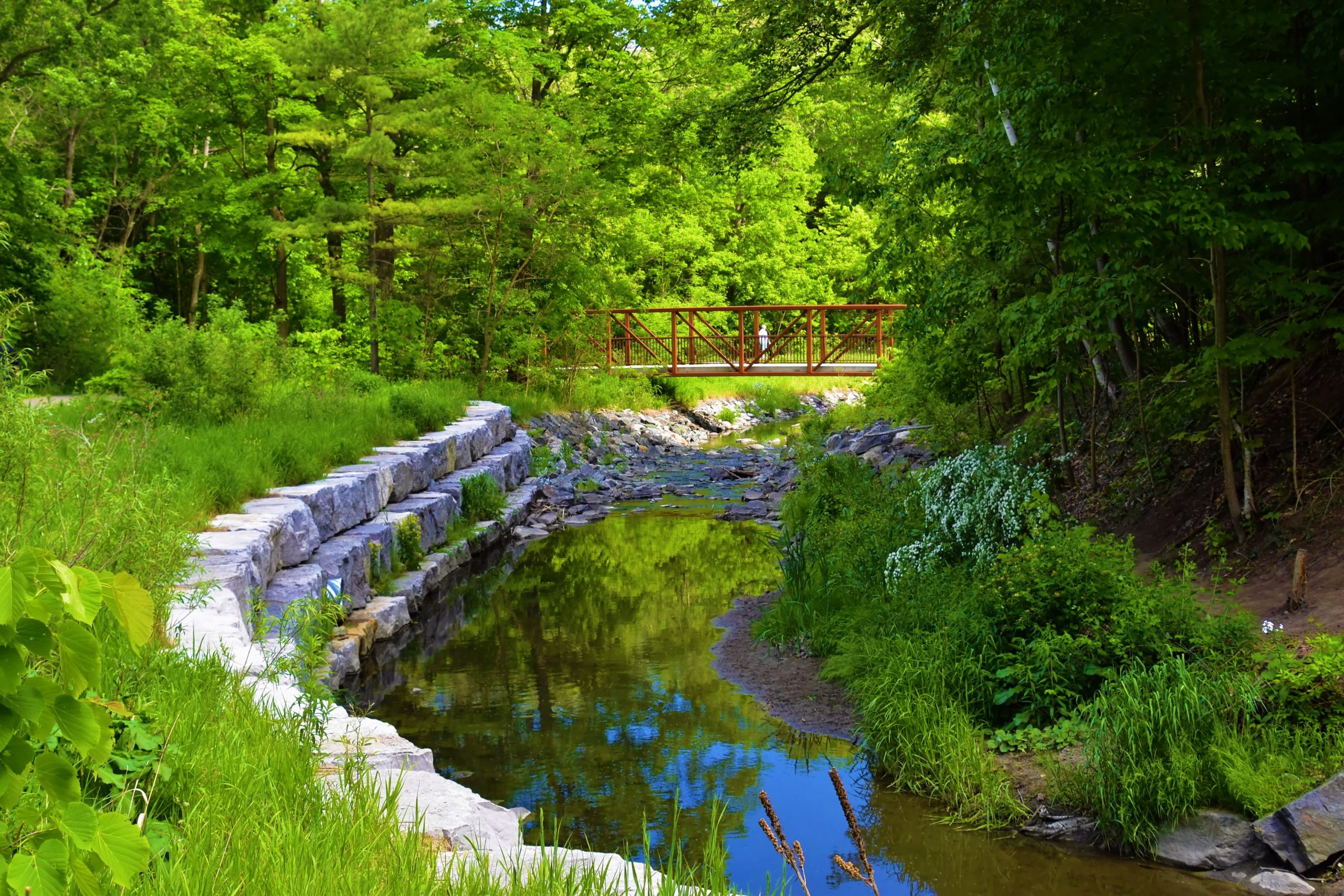 Toronto park near Lawrence Avenue